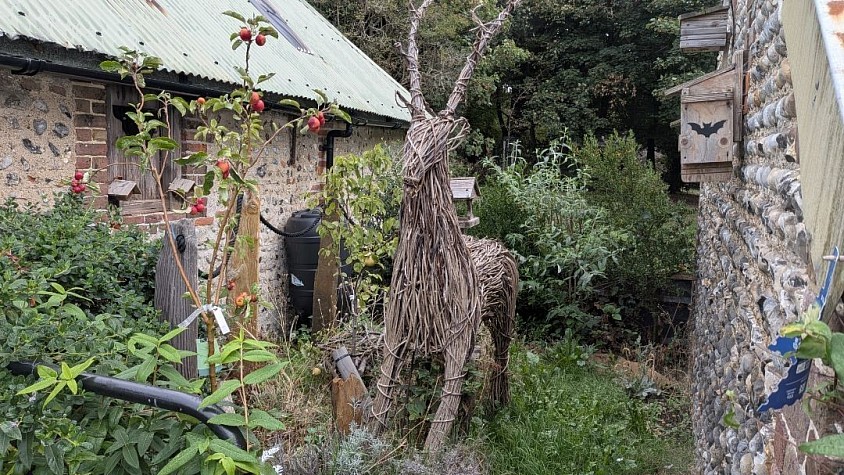 Our garden at Men in Sheds Lancing and Sompting