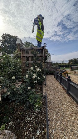 Our Garden at Men in Sheds Lancing and Sompting 2