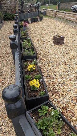 Our Garden at Men in Sheds Lancing and Sompting 7